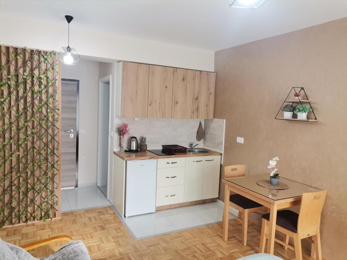 אוהריד Jana Apartment מראה חיצוני תמונה