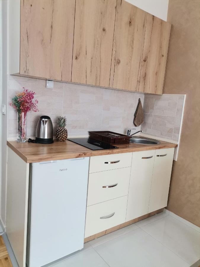 אוהריד Jana Apartment מראה חיצוני תמונה