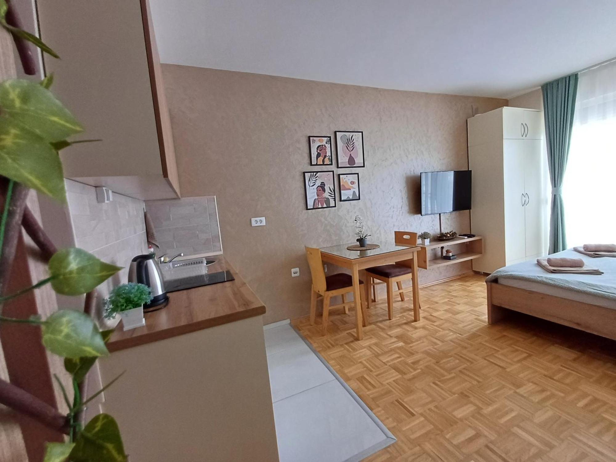 אוהריד Jana Apartment מראה חיצוני תמונה